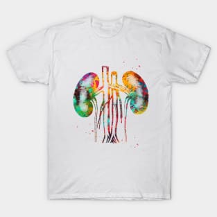 Kidneys anatomy T-Shirt